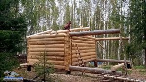 ДВУХСКАТНАЯ КРЫША СВОИМИ РУКАМИ. Как сделать крышу из бревен - стропила без единого гвоздя. Бушкраф
