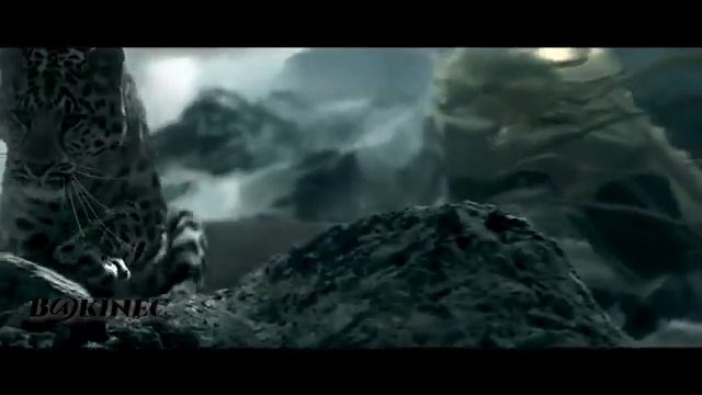 stiven morgan смотреть онлайн