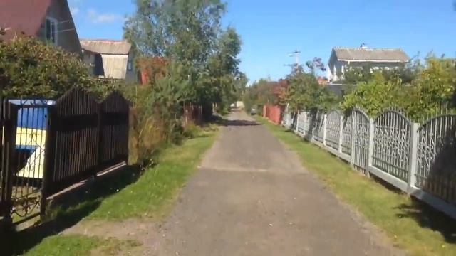 Лето дача птицы бег смотреть онлайн