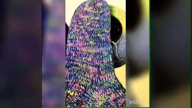 Носки из мериноса и секционной пряжи
