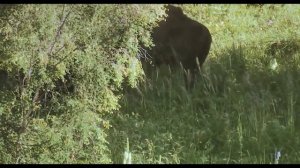 Урок 3 Природные зоны Евразии