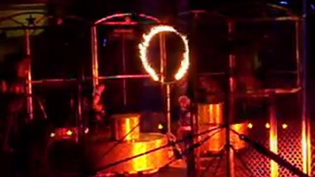 Shrine Circus Tigers pt. 3 смотреть онлайн