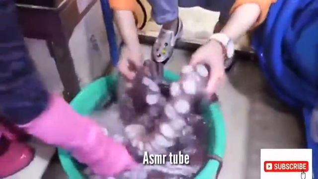 ASMR Ssoyoung Eats A SCARY GIANT OCTOPUS CHALLENGE In The Supermarket SEAFOOD MUKBANG