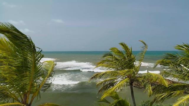 Bachata 2023 Mix | Mix of the New | The Best Hits to Dance | BACHATA MOVES смотреть онлайн