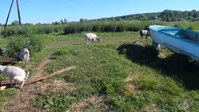 Будни деревенские\Семья Перовых\ смотреть онлайн