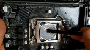 Как заменить термопасту на процессоре компьютера