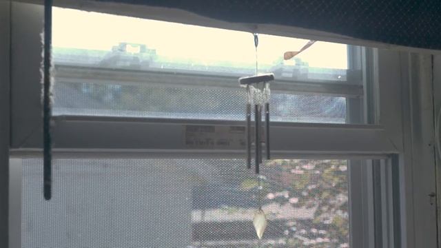 5D mii Magic Lantern RAW - At Home With Cats смотреть онлайн
