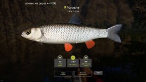 Река Белая бюджетная сборка! Хариус на топвотер! РР4