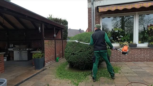 Kustorez. Easy formation of evergreen Boxwood. смотреть онлайн