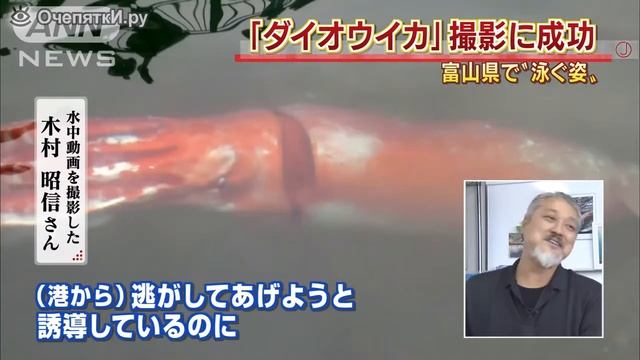 Огромный Кальмар смотреть онлайн