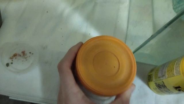 Как и чем правильно кормить аквариумных рыбок. Чем, сколько и как часто. смотреть онлайн