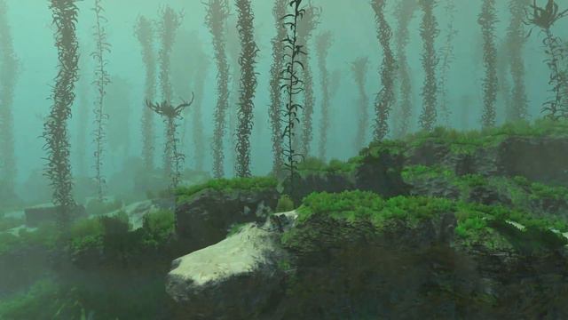 How To Upload Custom Images To The Picture Frame | Subnautica Guides