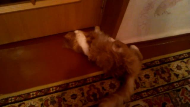 Ватная палочка урр урр смотреть онлайн