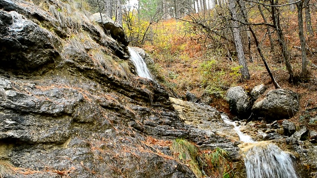 DSC_4426 смотреть онлайн