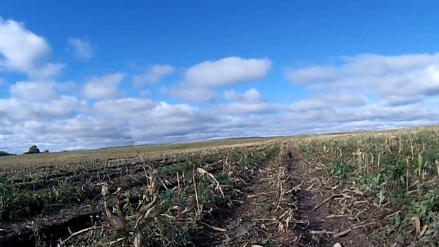 В такое место надо ездить каждый год!!! Ищите такие деревни и не пожалеете! смотреть онлайн