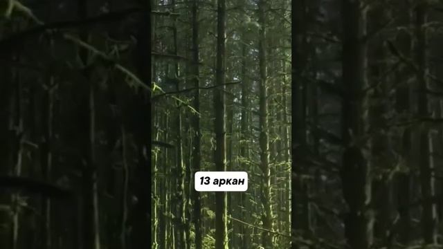13 аркан.Описание.Люди рождённые 13 числа #матрицасудьбы #нумерология #энергетика #матрица #13аркан смотреть онлайн