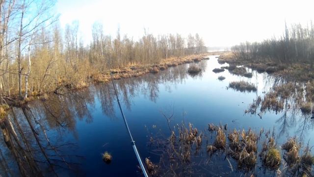 Болото смотреть онлайн