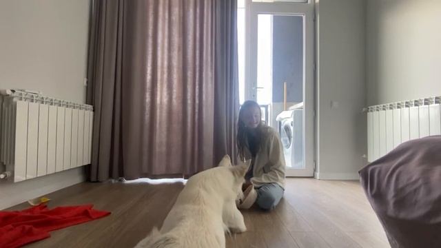 Шейпинг смотреть онлайн