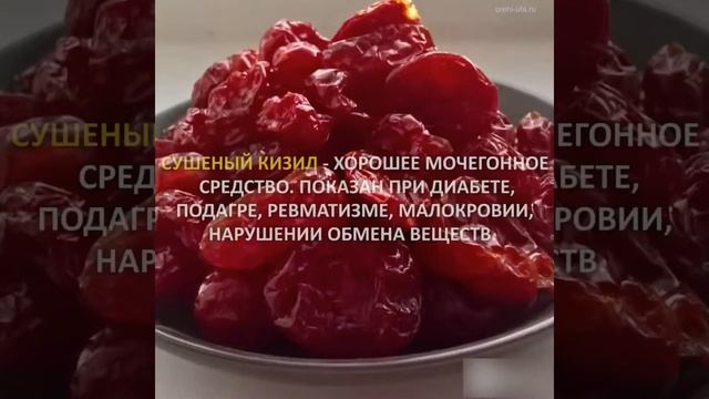 10 сухофруктов для иммунитета и здоровья смотреть онлайн