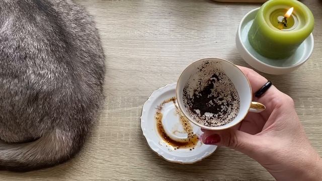 Кому нравитесь, а кто только делает вид? Кофейные подсказки ☕️ смотреть онлайн