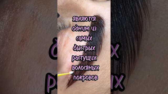 Брови и интересные факты