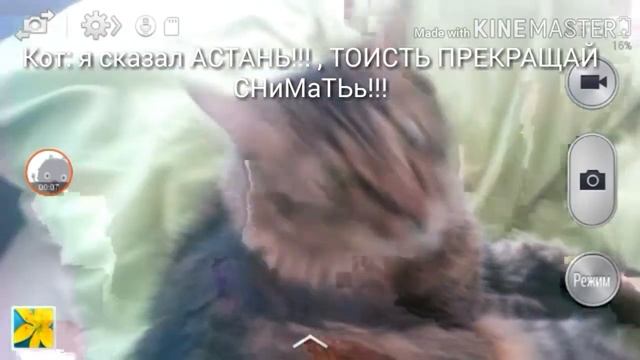 Когда КОТ тебя не любит... смотреть онлайн