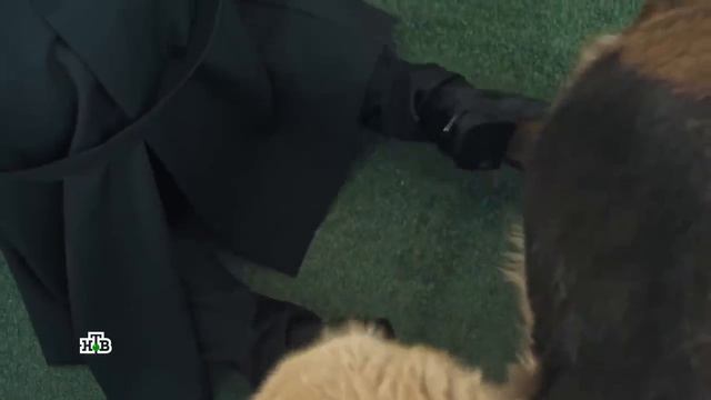 ГНЕЗДИЛОВ смешные моменты, #5 сериал на НТВ, ПЕС-3, ПЕС-4, ПЕС-5 №5 смотреть онлайн