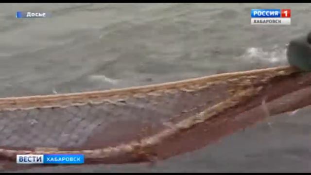 Новые ограничения для рыбаков смотреть онлайн