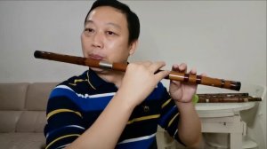 D key dizi flute cover popular song《Ni Mo Zou》with two fingering《你莫走》D调竹笛两种指法翻奏 @Dan Tang