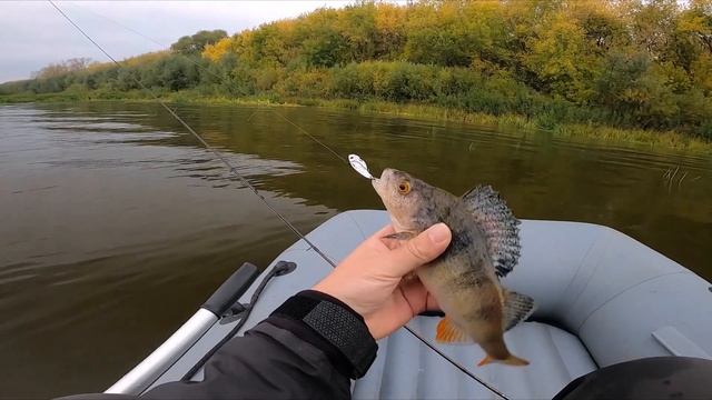 Осенний окунь на цикады. Ловлю в черте города смотреть онлайн
