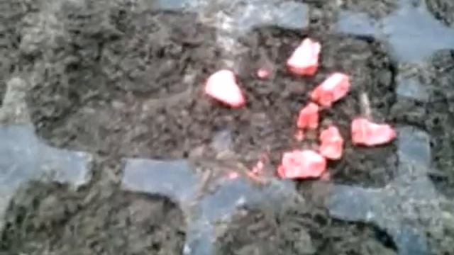 Выращивание сахарной кукурузы смотреть онлайн