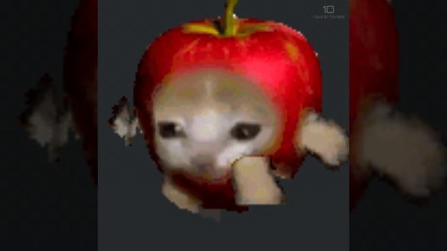 Apple Cat Running 10 Hours смотреть онлайн