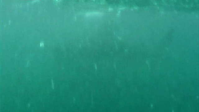 15 серия смотреть онлайн