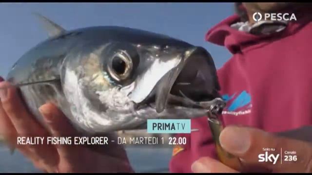REALITY FISHING EXPLORER - Season 2016/2017 - Sigla - PESCA 236 SKY смотреть онлайн