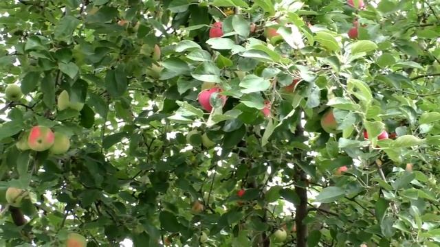 Дизайн и Оформление Сайтов