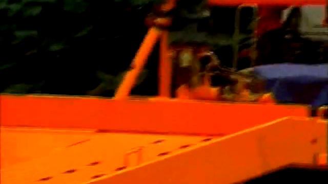 AmcoVeba смотреть онлайн