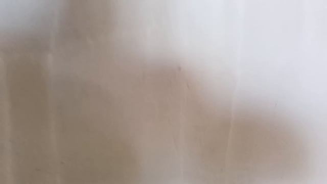 Заброшенный дом в одном из сёл Алтайского края. смотреть онлайн
