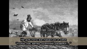 Н.Некрасов "Несжатая полоса"
