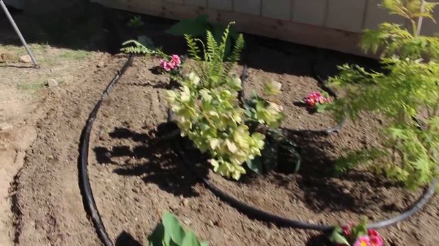 Spring Planting Megasode