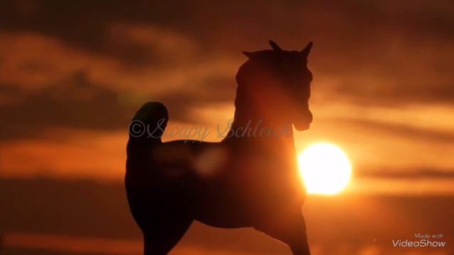 [Realistic Pictures 8] Sous le couché du soleil 🌇 смотреть онлайн