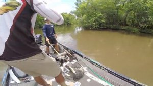 Ловля на спиннинг в мутной воде.