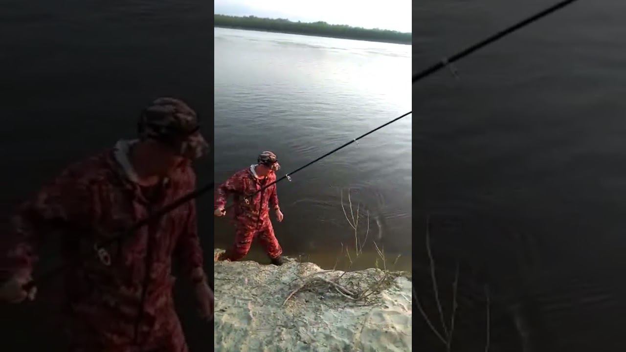 Подлещик на сало смотреть онлайн