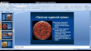 Биология 7 класс 5-6 неделя  Бактерии, значение и многообразие
