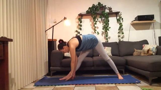 estiramientos de yoga Ananda Yoga смотреть онлайн