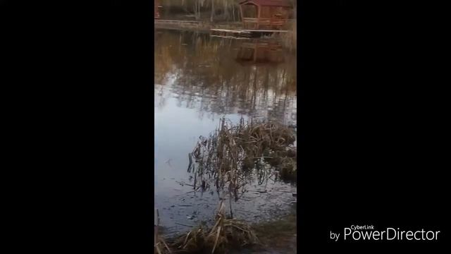 Косачи смотреть онлайн