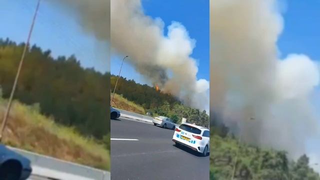 Пожар под Иерусалимом смотреть онлайн