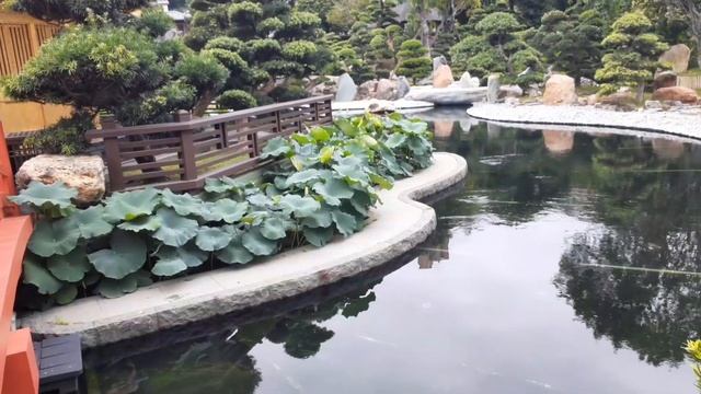 Nan Lian Garden||OFW-Garden tour смотреть онлайн