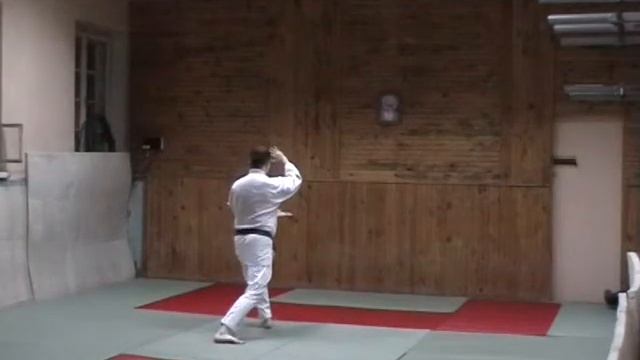 Kihon Dosa Renzoku Dosa. Yoshinkan Aikido смотреть онлайн