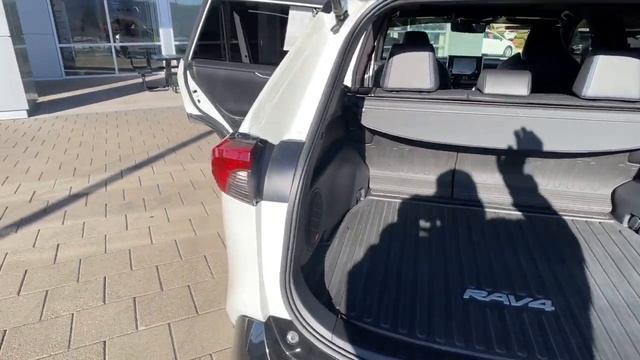 2020 Toyota RAV4 Carson City, Reno, Northern Nevada, Dayton, Lake Tahoe, NV 146828 смотреть онлайн