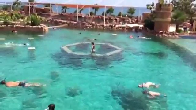 Морской парк часть 2 смотреть онлайн